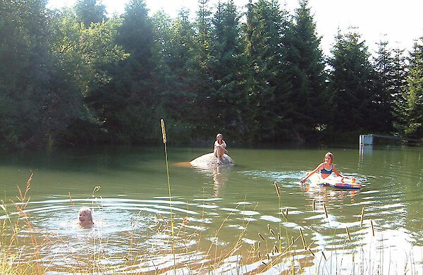 Badesee - Ferienhaus in Mitterdorf